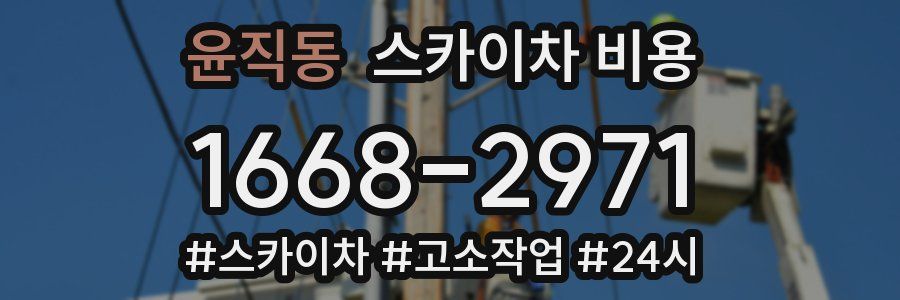 윤직동 스카이차 비용