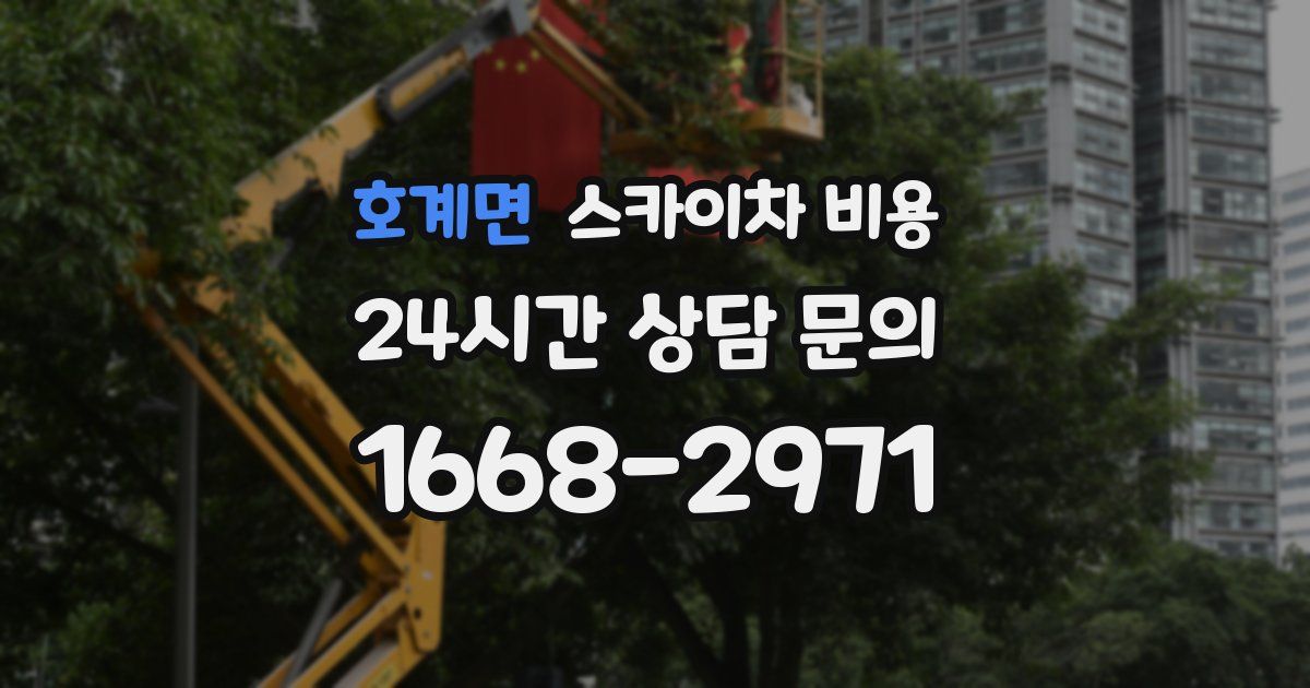 호계면 스카이차 비용