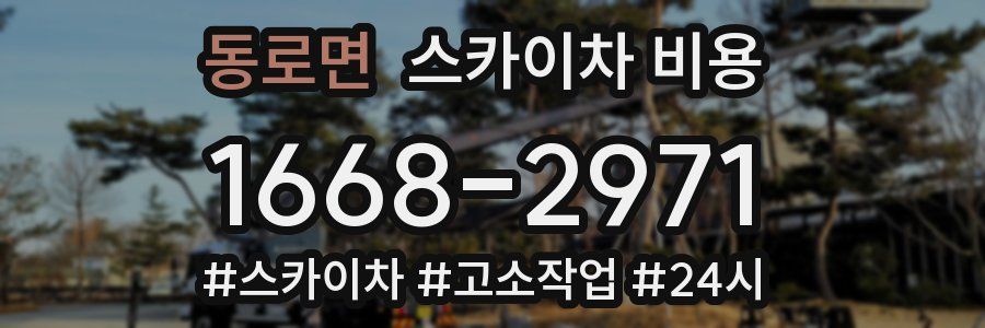 동로면 스카이차 비용