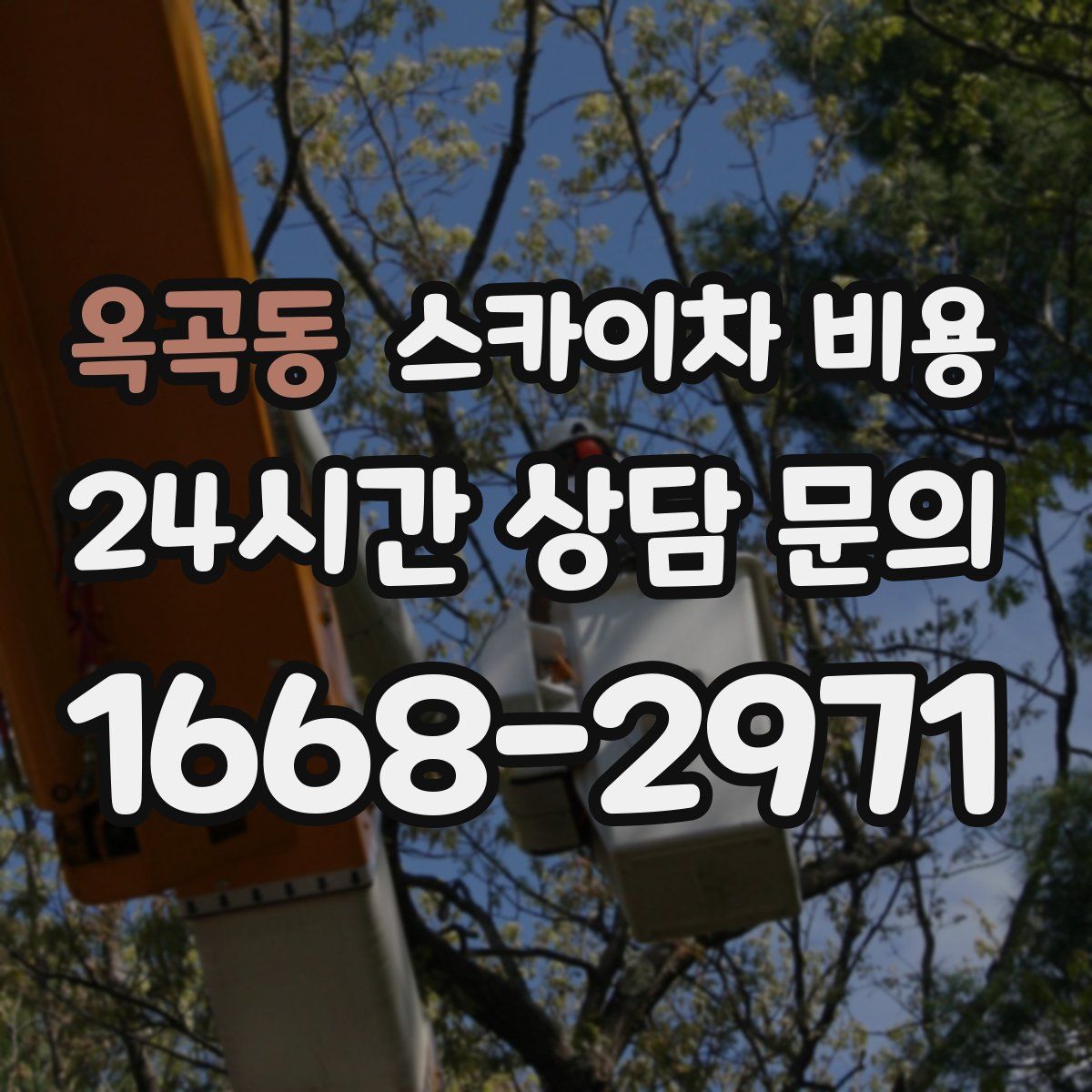 옥곡동 스카이차 비용