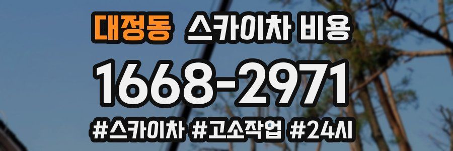 대정동 스카이차 비용