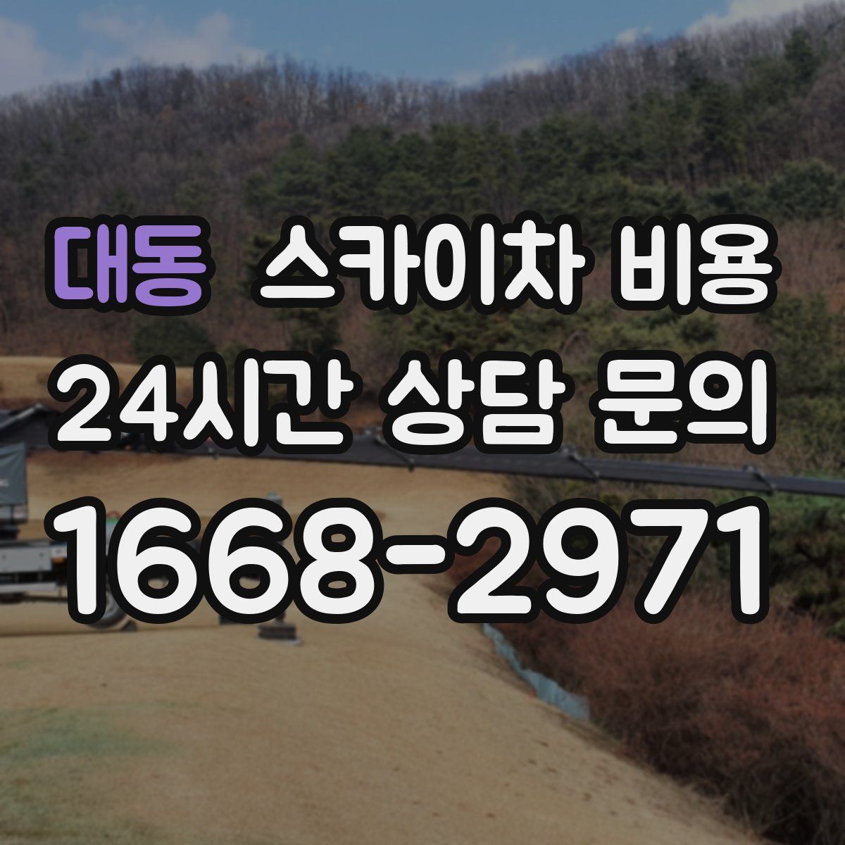 대동 스카이차 비용