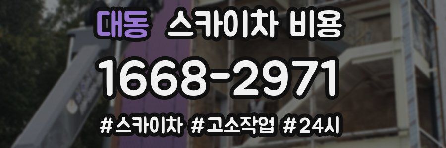 대동 스카이차 비용