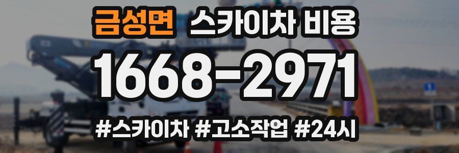 금성면 스카이차 비용