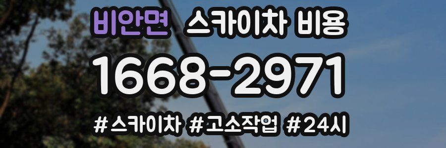 비안면 스카이차 비용