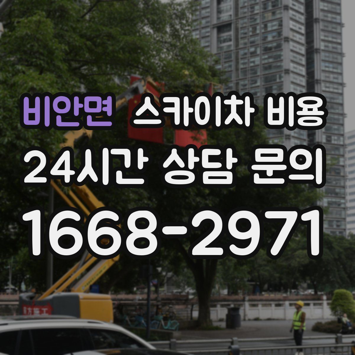 비안면 스카이차 비용