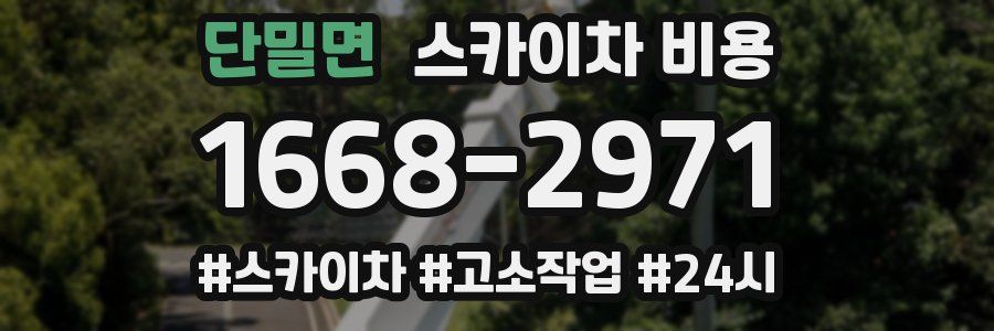 단밀면 스카이차 비용