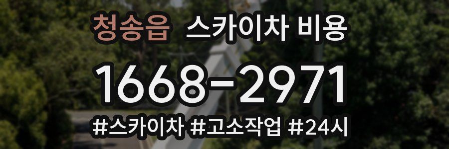 청송읍 스카이차 비용