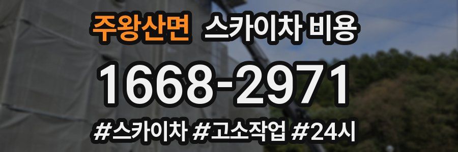 주왕산면 스카이차 비용