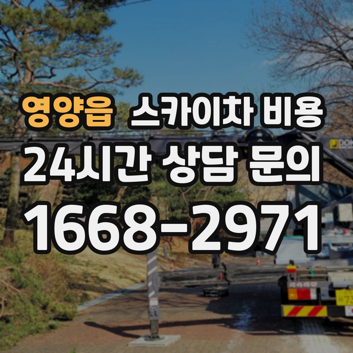 영양읍 스카이차 비용