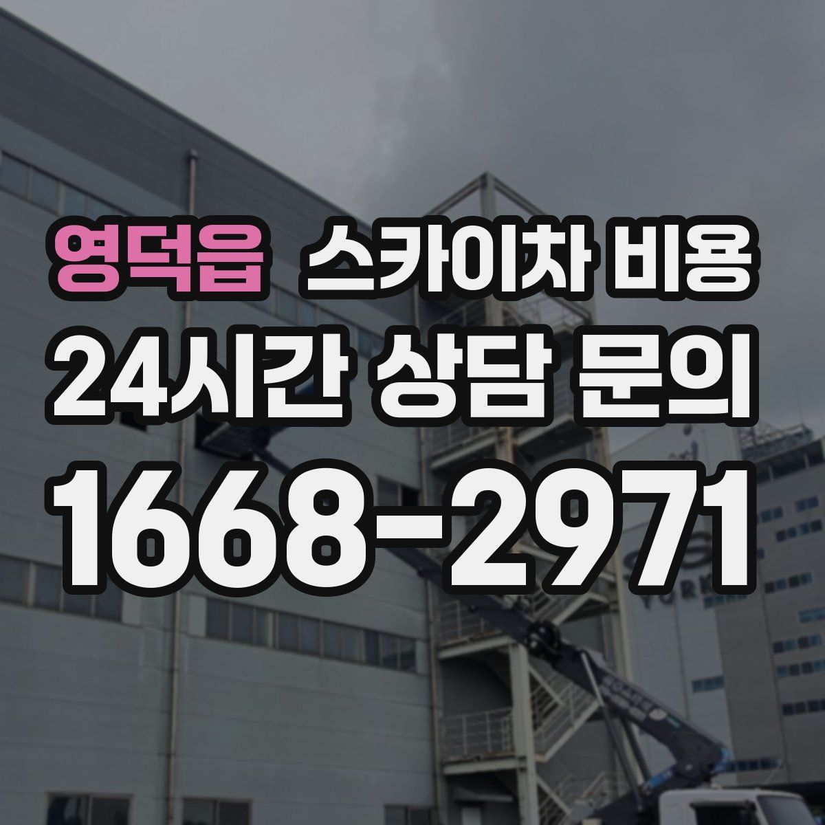 영덕읍 스카이차 비용