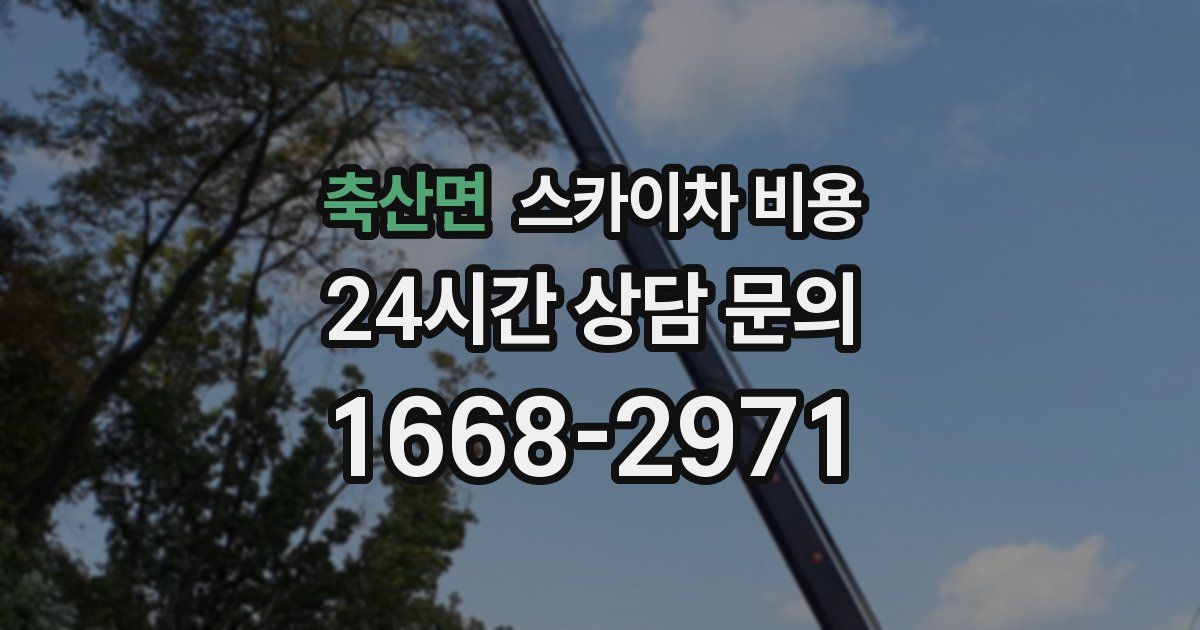 축산면 스카이차 비용