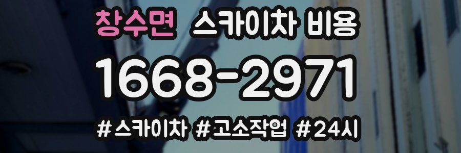 창수면 스카이차 비용