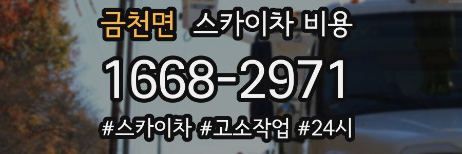 금천면 스카이차 비용