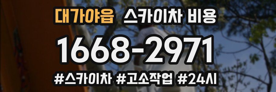 대가야읍 스카이차 비용