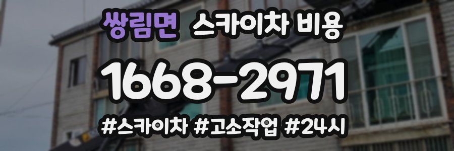 쌍림면 스카이차 비용