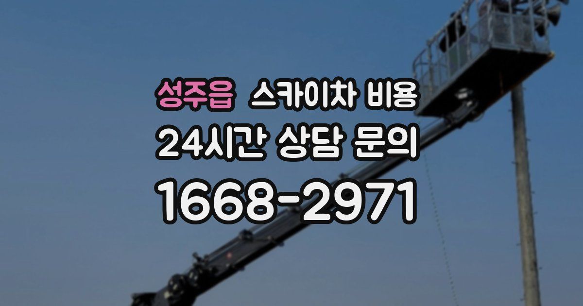 성주읍 스카이차 비용