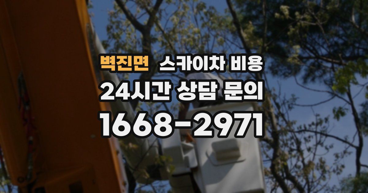벽진면 스카이차 비용