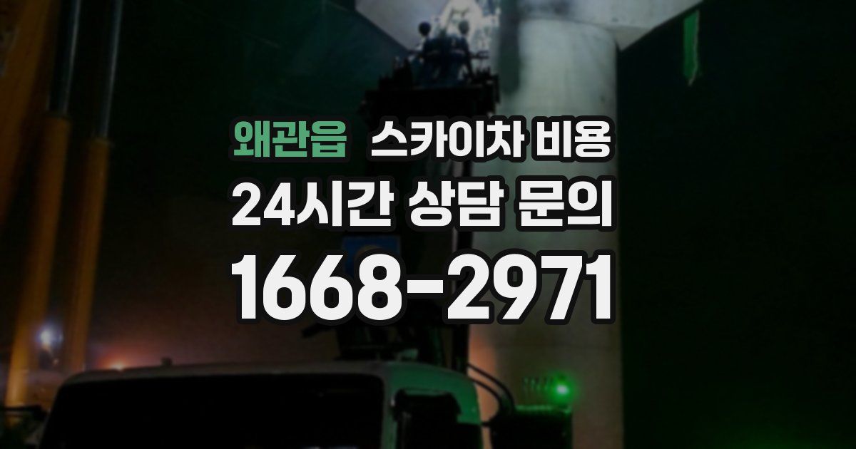 왜관읍 스카이차 비용