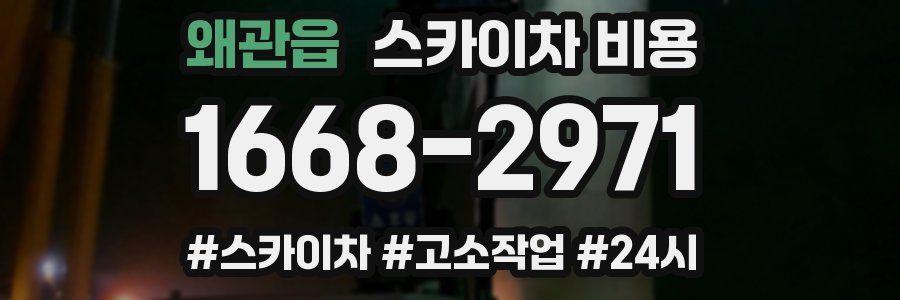 왜관읍 스카이차 비용