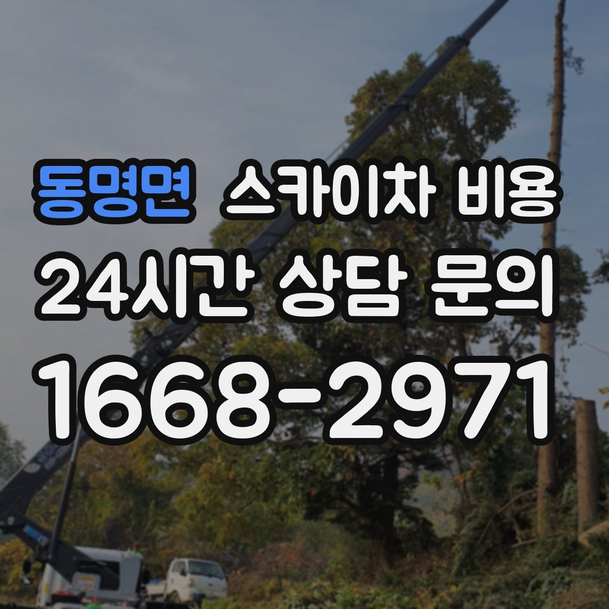 동명면 스카이차 비용