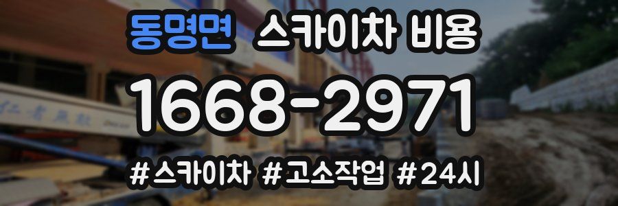 동명면 스카이차 비용