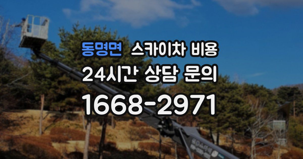 동명면 스카이차 비용