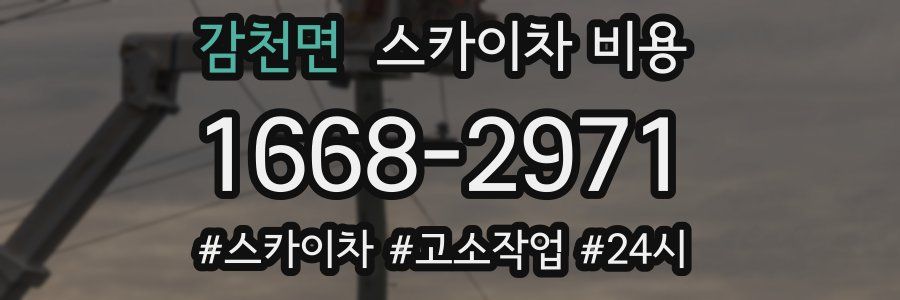 감천면 스카이차 비용