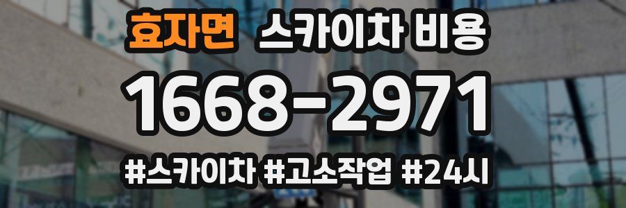 효자면 스카이차 비용