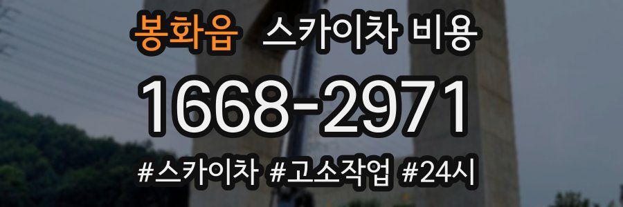 봉화읍 스카이차 비용