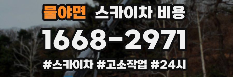 물야면 스카이차 비용