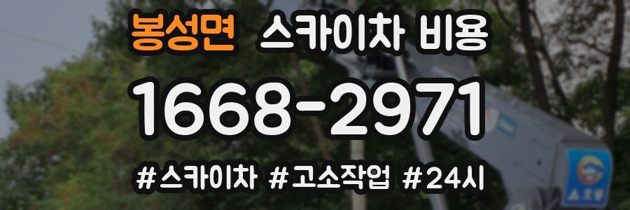 봉성면 스카이차 비용