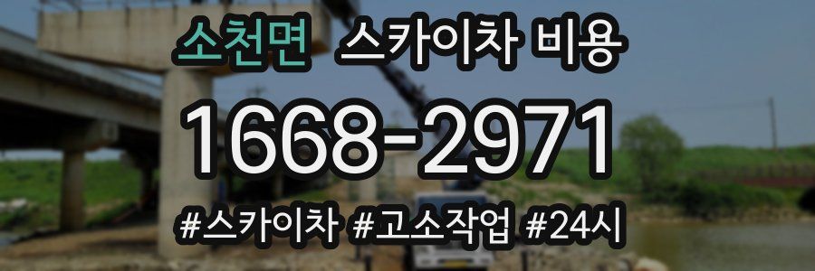 소천면 스카이차 비용