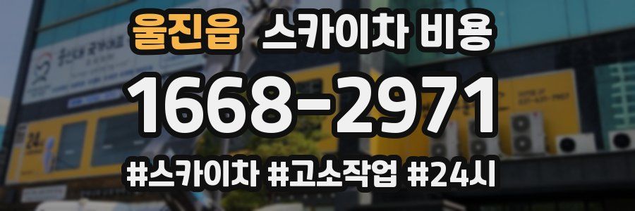 울진읍 스카이차 비용