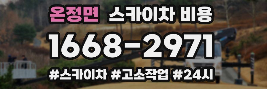 온정면 스카이차 비용