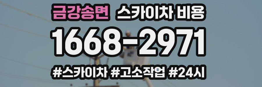 금강송면 스카이차 비용