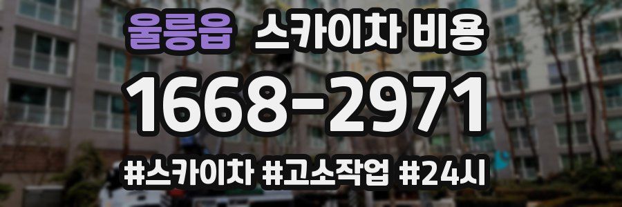 울릉읍 스카이차 비용