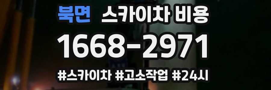 북면 스카이차 비용