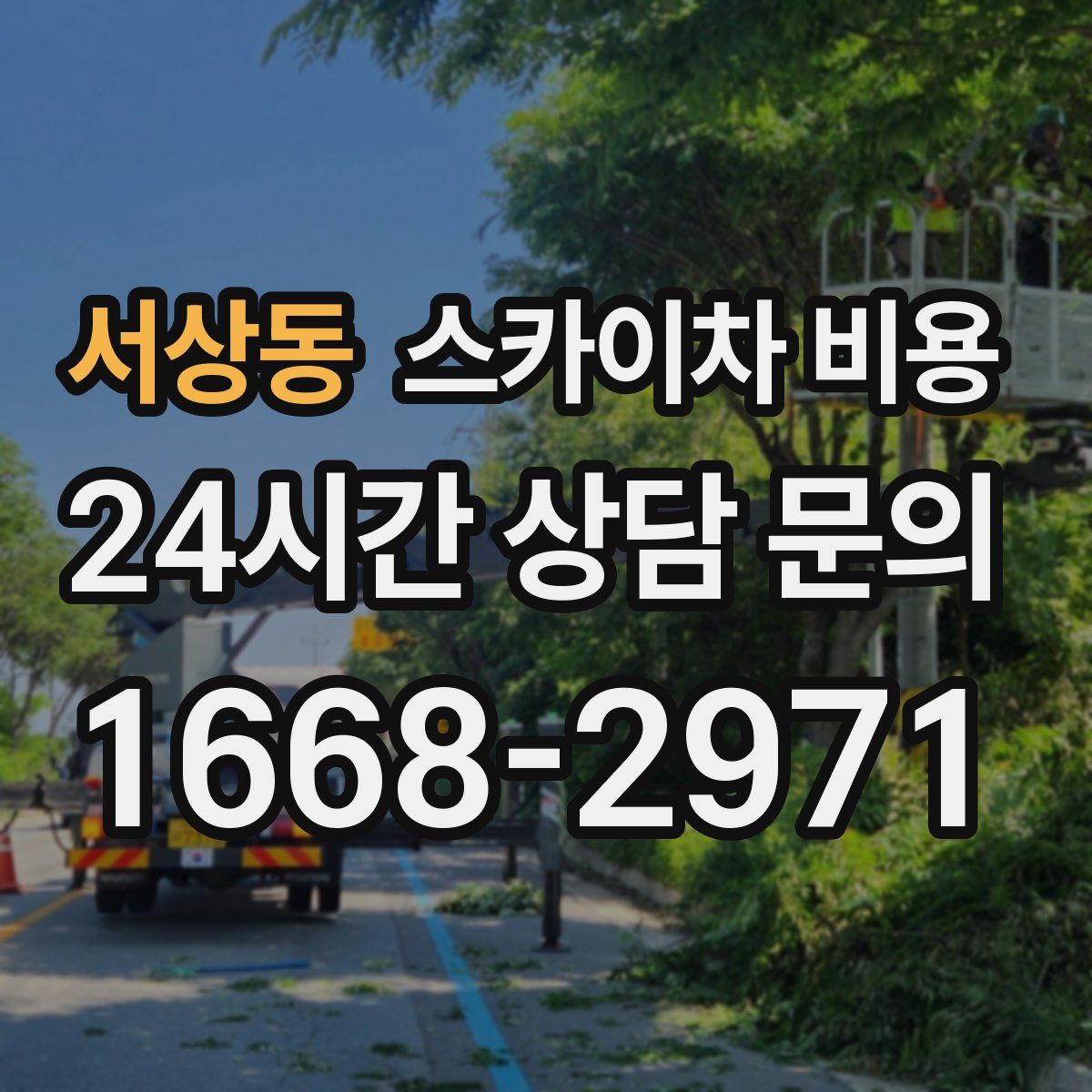 서상동 스카이차 비용