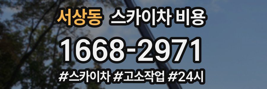 서상동 스카이차 비용