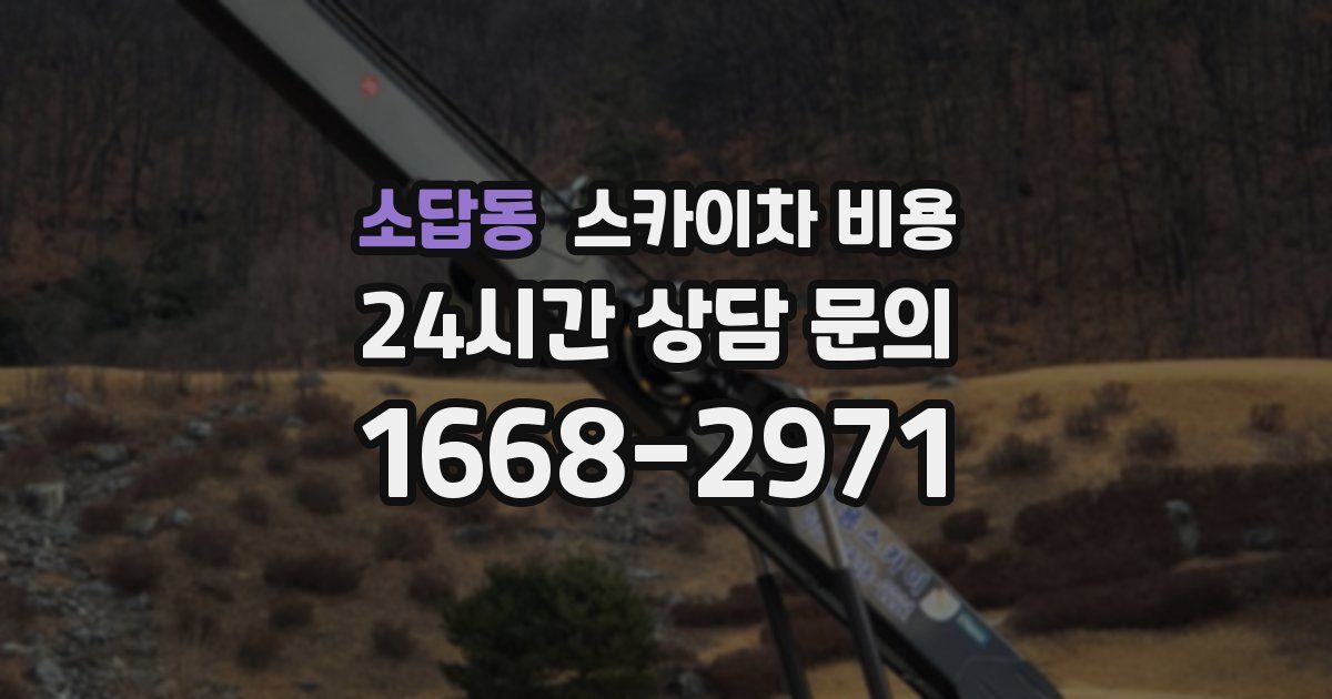 소답동 스카이차 비용