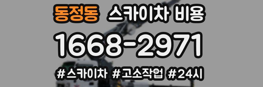 동정동 스카이차 비용