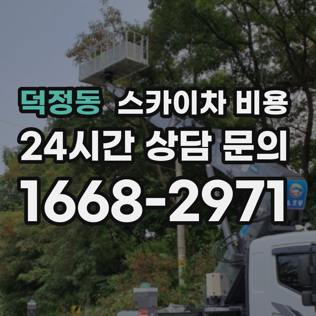 덕정동 스카이차 비용