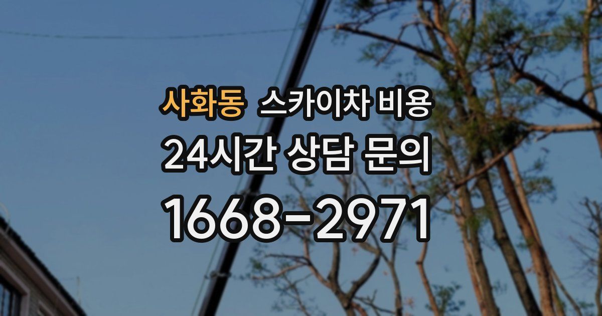 사화동 스카이차 비용