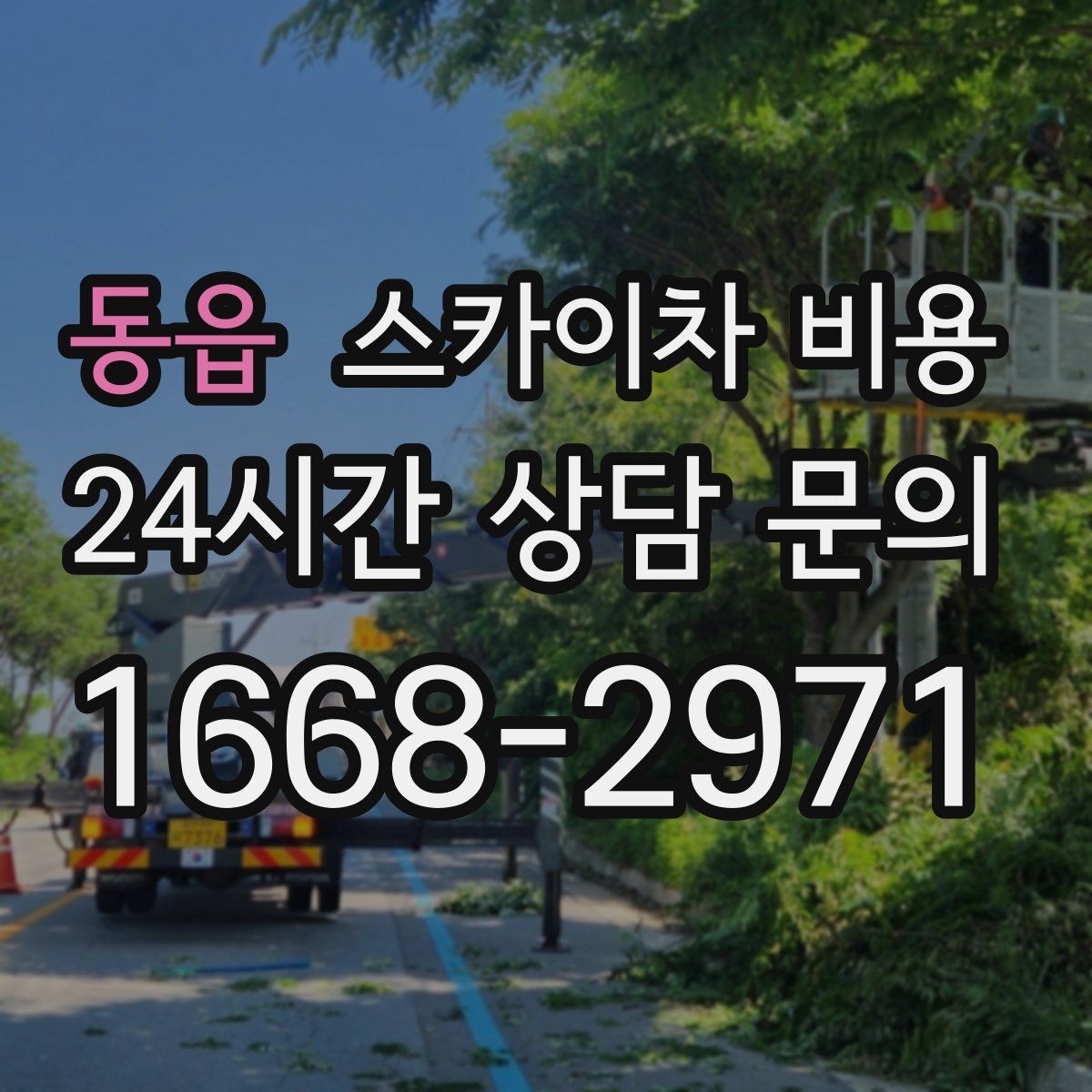 동읍 스카이차 비용 전선·전봇대 등 장애물이 많을 때