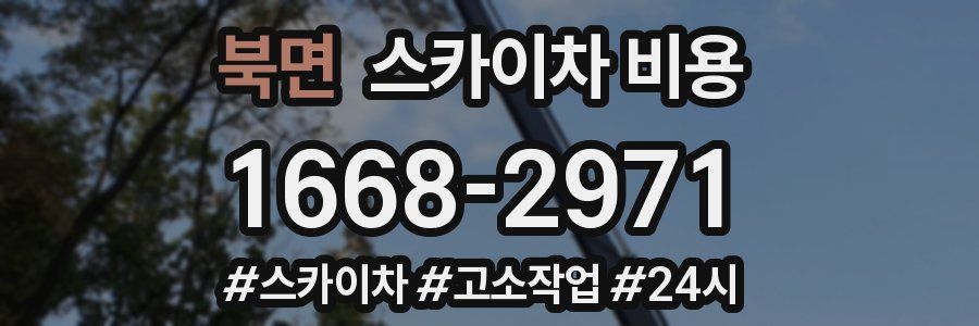 북면 스카이차 비용