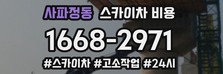 사파정동 스카이차 비용