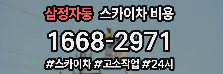 삼정자동 스카이차 비용