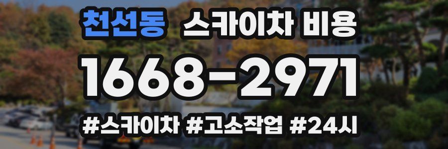 천선동 스카이차 비용