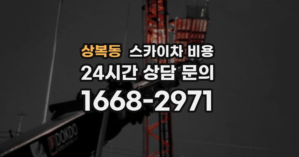 상복동 스카이차 비용